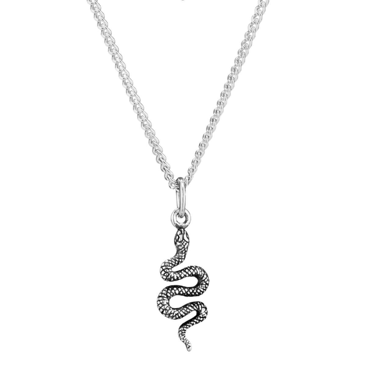 Sterling silver snake adder necklace gothic alternative dark academia jewellery jewelry