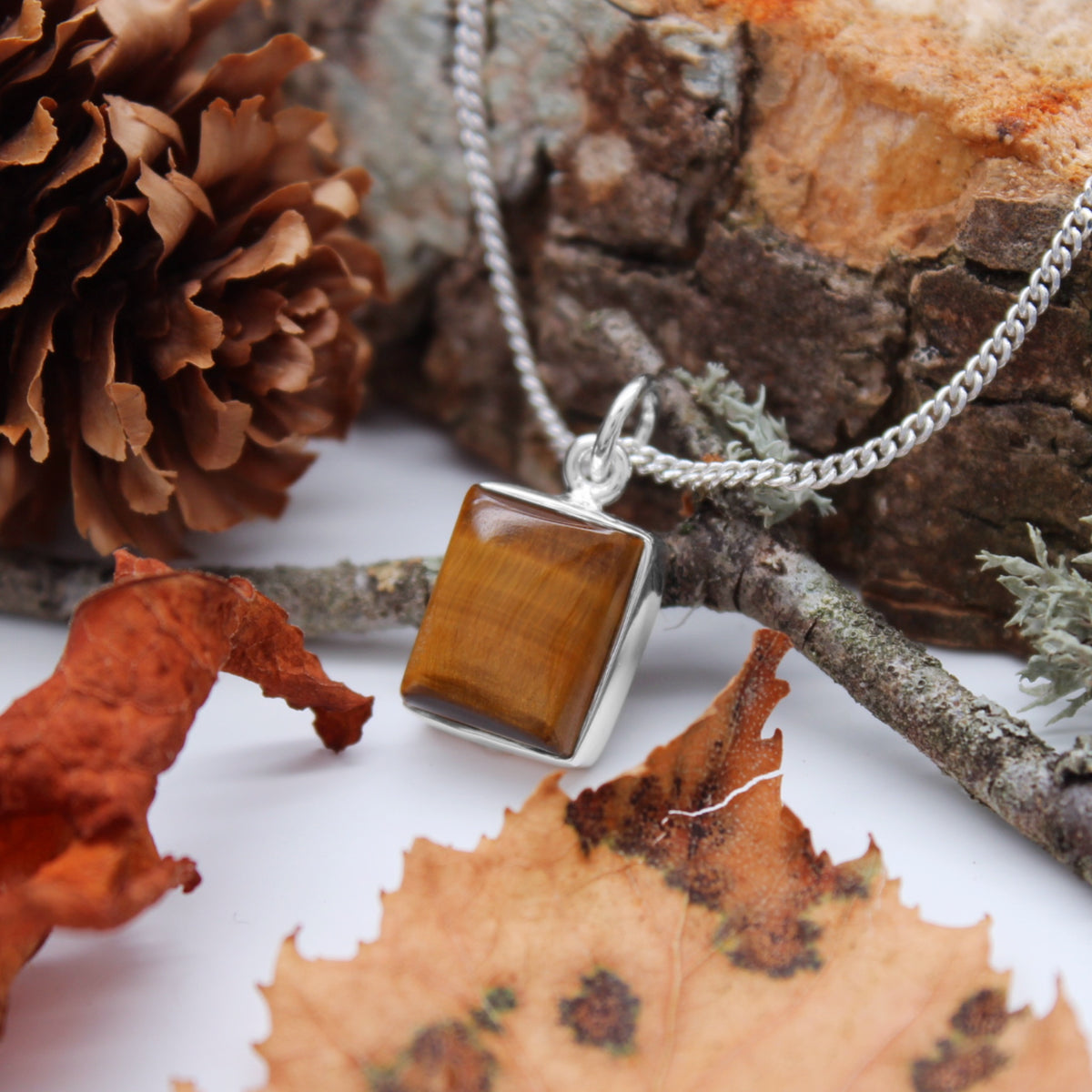 FALLEN LEAVES - Sterling Silver & Tigers Eye Necklace