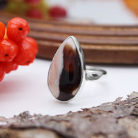 CONKER - Sterling Silver & Peanutwood Jasper Ring - US 7